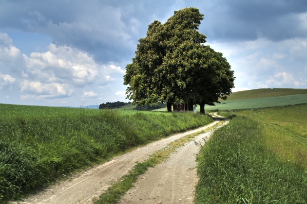 Cesta do Vítovek